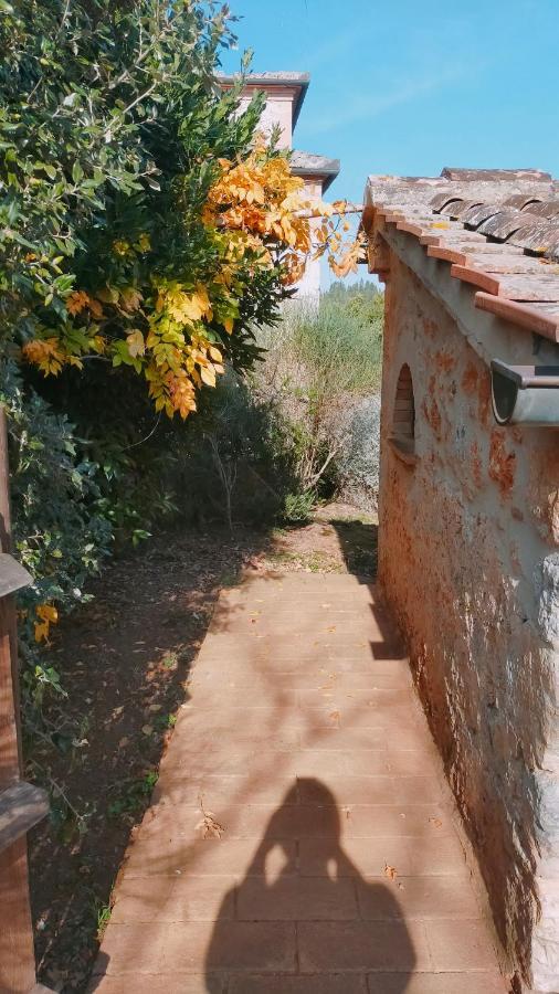 Cosy Country Room Garden Sovicille Bagian luar foto