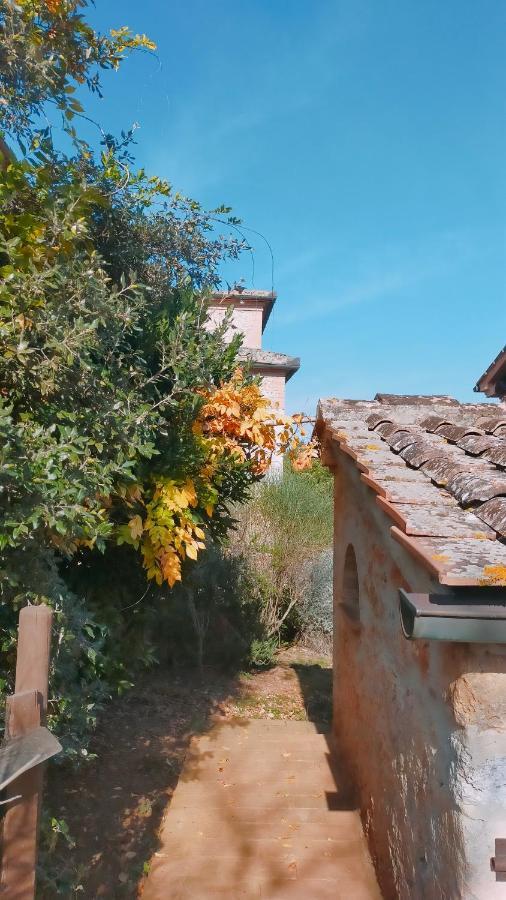 Cosy Country Room Garden Sovicille Bagian luar foto