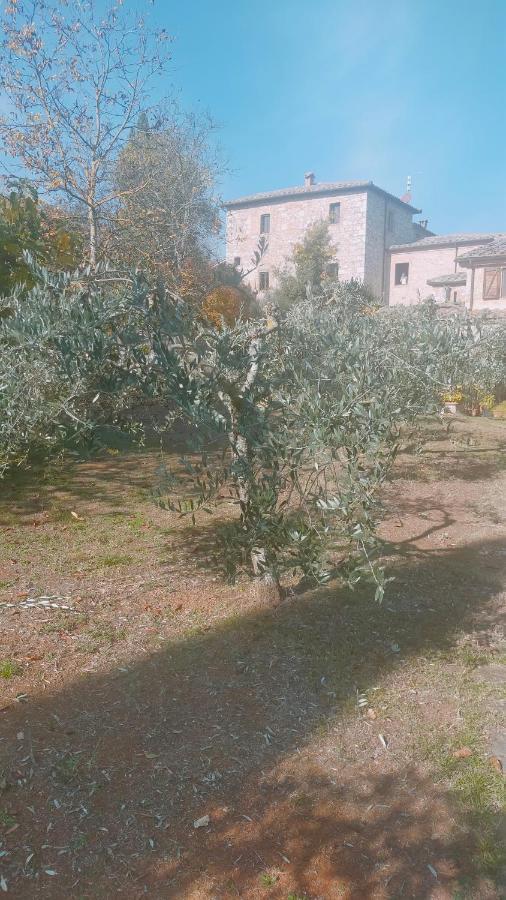 Cosy Country Room Garden Sovicille Bagian luar foto